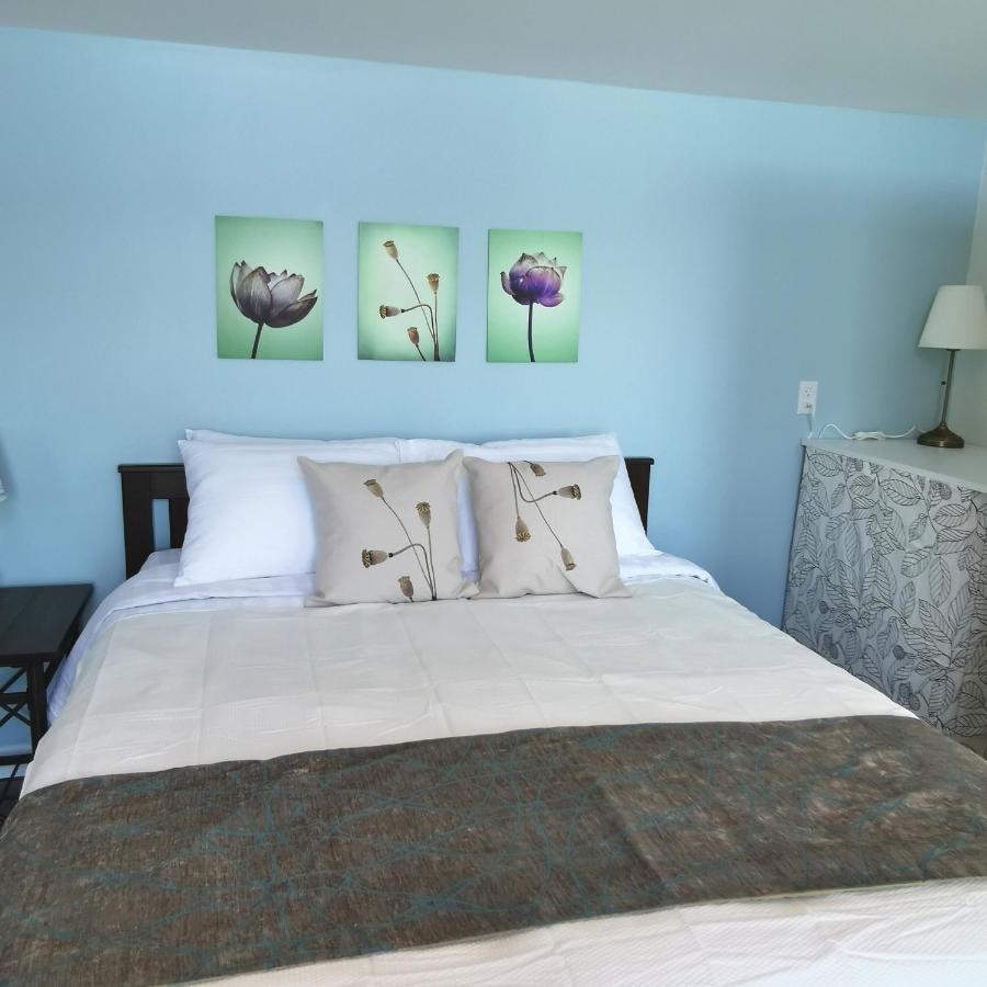 Knotty Pine Ocean Front Suite - Adults Only Ingonish Exteriér fotografie